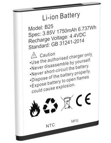 BATTERIA per LINK 4+